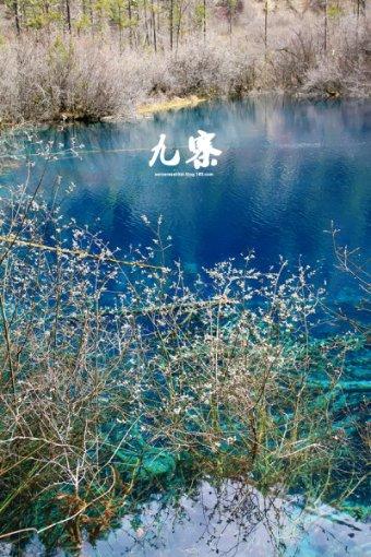 红红火火过大年,聊城7大版块324项文旅活动等你来