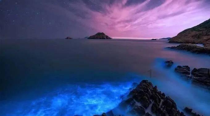 沪江开心词场