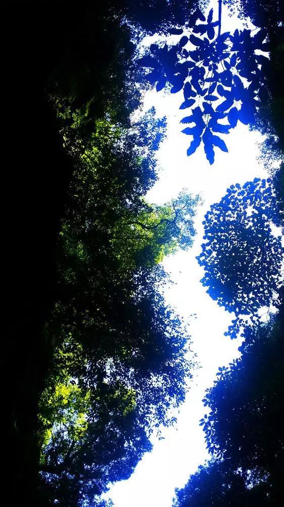 球球大作战下载最新版
