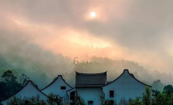 小猫钓鱼游戏龙王版有船