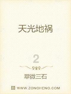 武斗纹章2初篇