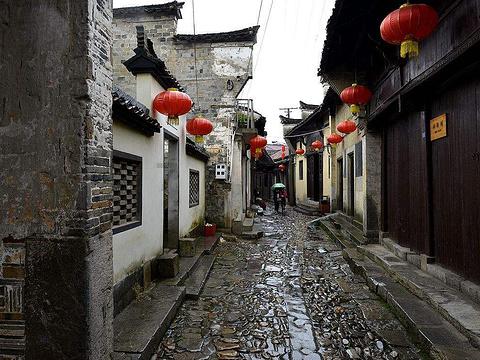 美妙森林找不同