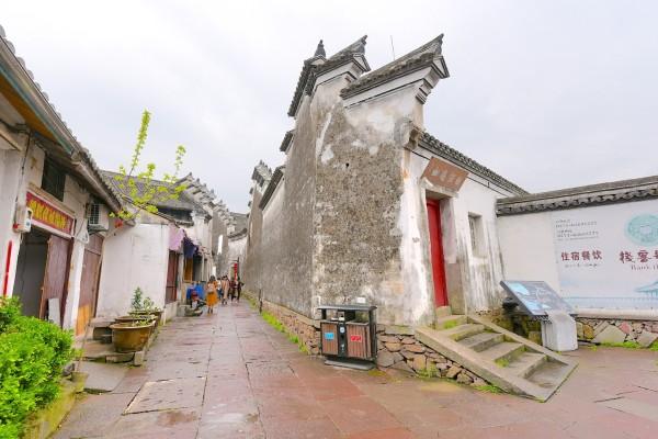 狠人王博谷:半年赚3600万,智取婆婆宋丹丹,小7岁巴图为她痴迷