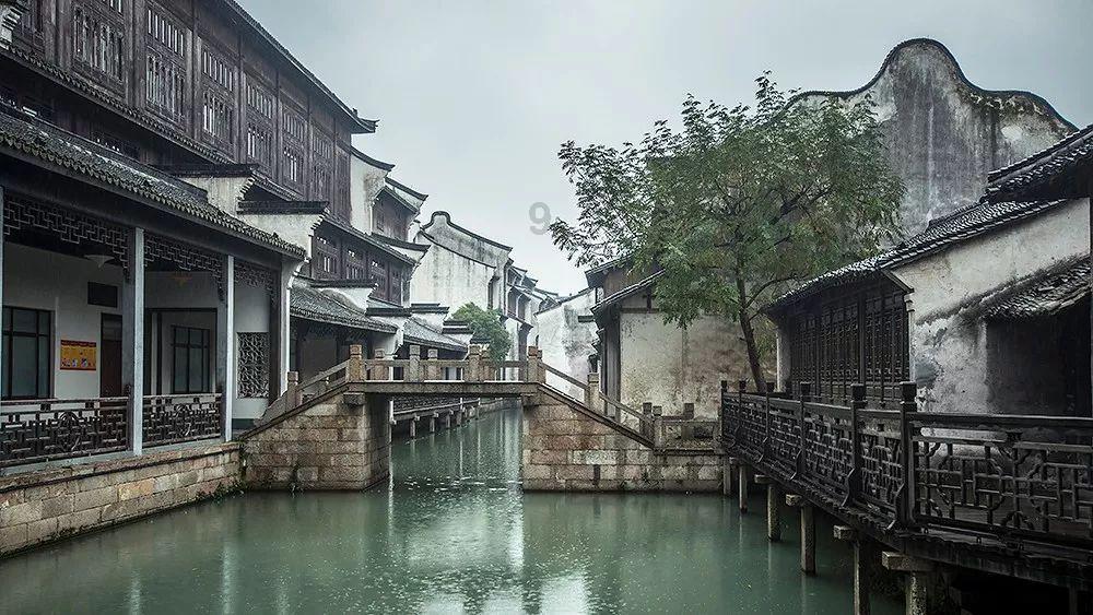 逃离水虎鱼湖