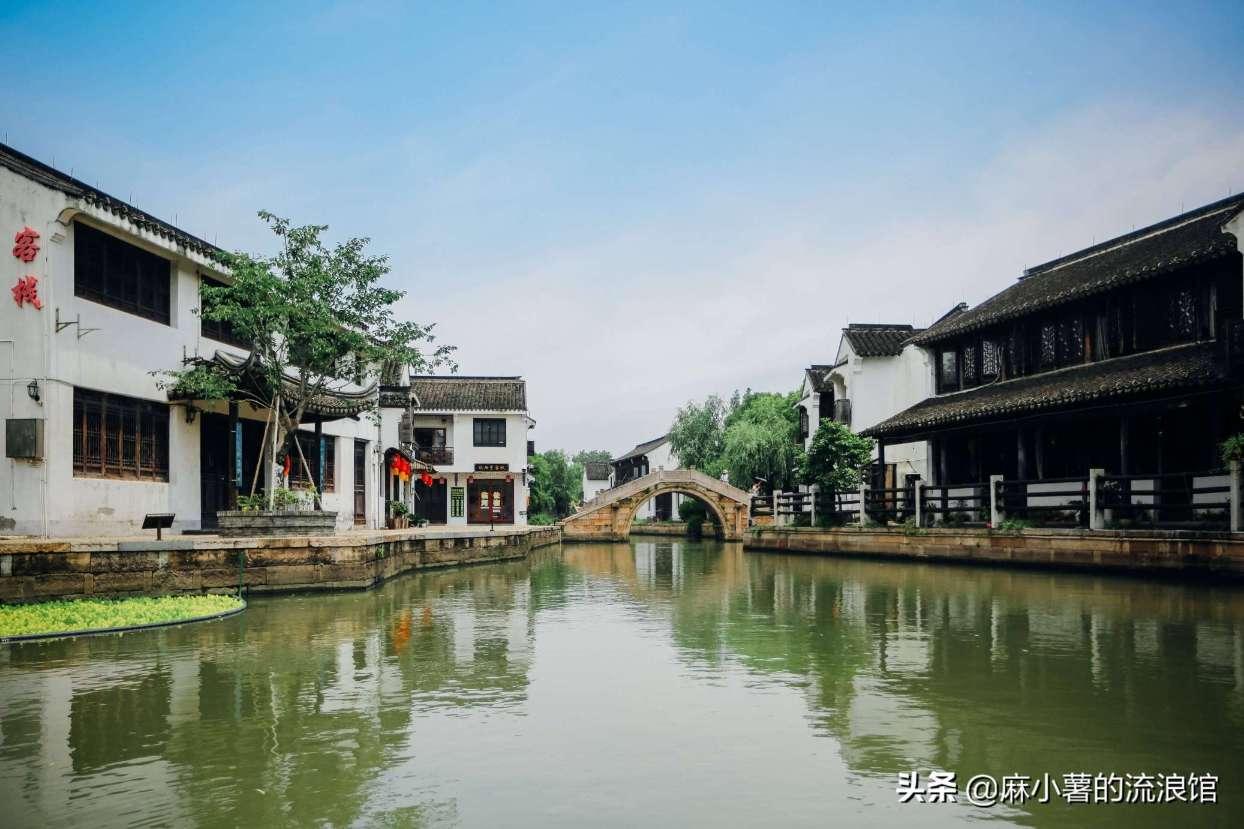 拯救机灵鸟