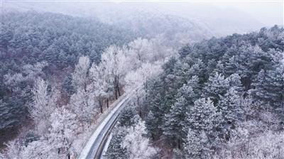 建行聊城临清支行:日常反诈 从点滴做起